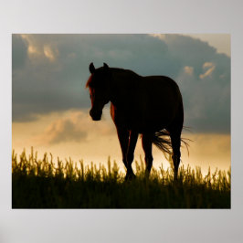 Sunset Horse Poster