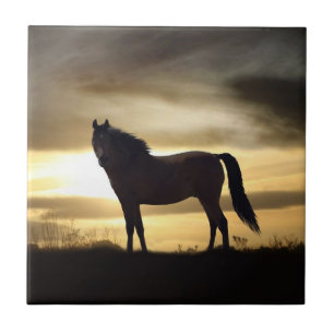 Sunset Horse SIlhouette Gift Tile Kakelplatta