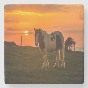 Sunset Horse Stenunderlägg