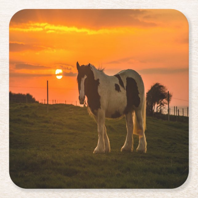 Sunset Horse Underlägg Papper Kvadrat (Framsidan)