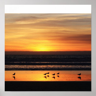 Sunset i Kalifornien Poster