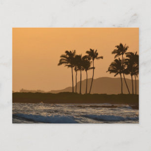 Sunset i Kauai Vykort