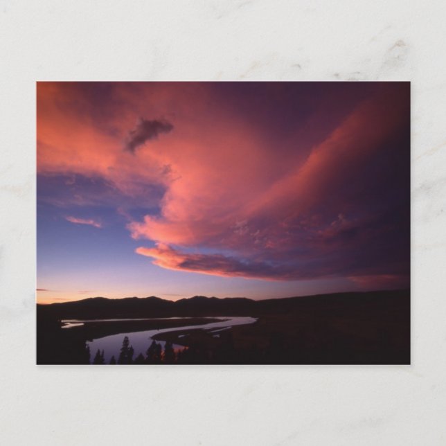 Sunset in Hayden Valley Postcard Vykort (Framsida)