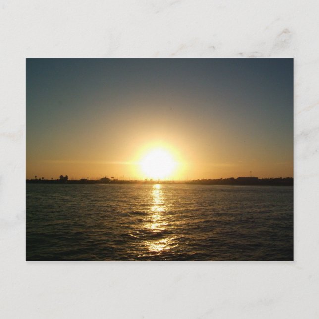 sunset in tampa florida vykort (Framsida)