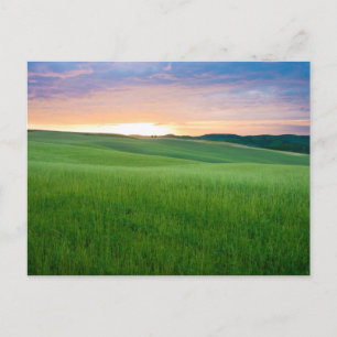Sunset in Tuscany vycard Vykort