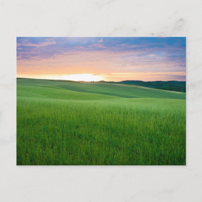 Sunset in Tuscany vycard Vykort (Framsida)