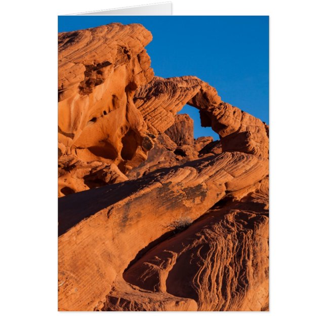 Sunset Inferno Hälsningskort (Framsidan)