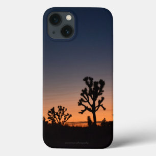 Sunset Joshua Träd