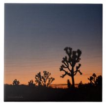 Sunset Joshua Träd