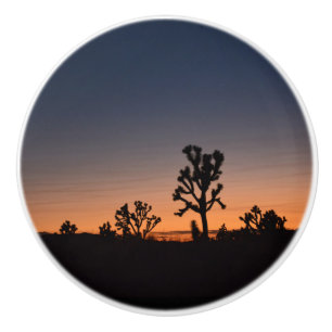 Sunset Joshua Träd Knopp
