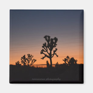Sunset Joshua Träd Magnet