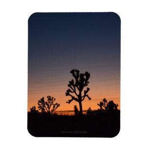 Sunset Joshua Träd Magnet
