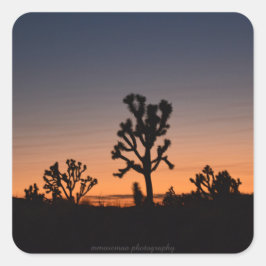 Sunset Joshua Träd Square Sticker Fyrkantigt Klistermärke