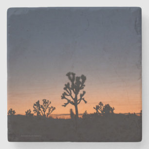 Sunset Joshua Träd Stenunderlägg
