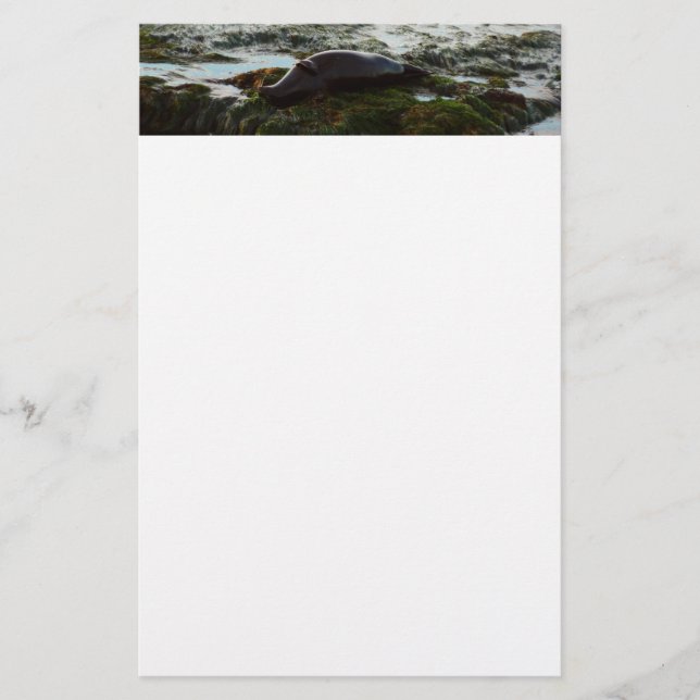 Sunset Lit Harbor Seal II i San Diego Brevpapper (Framsida)