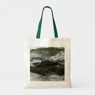 Sunset Lit Harbor Seal II i San Diego Tygkasse