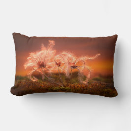 Sunset Macro Nature Scene of Moss and Plant Lumbarkudde