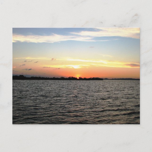 Sunset, Mangrove Cay, Belize Vykort (Framsida)