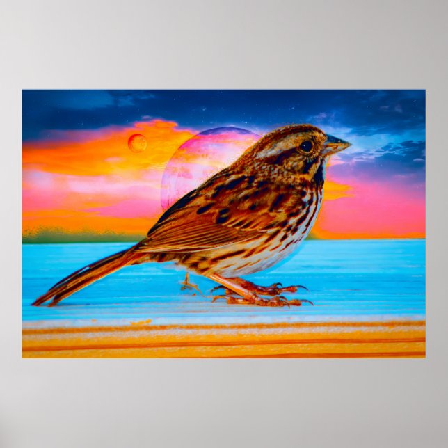 Sunset Melody Poster (Framsidan)