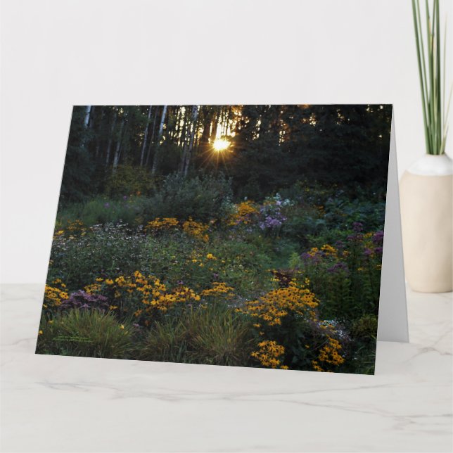 Sunset Mid-September Gardens Kort (Framsida)