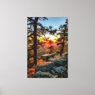 Sunset Mogollon Rim Arizona Gräs Träd 40 x 60 Canvastryck