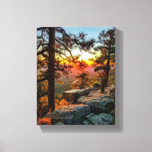 Sunset Mogollon Rim Arizona Gräs Träd 8 x 10 Canvastryck