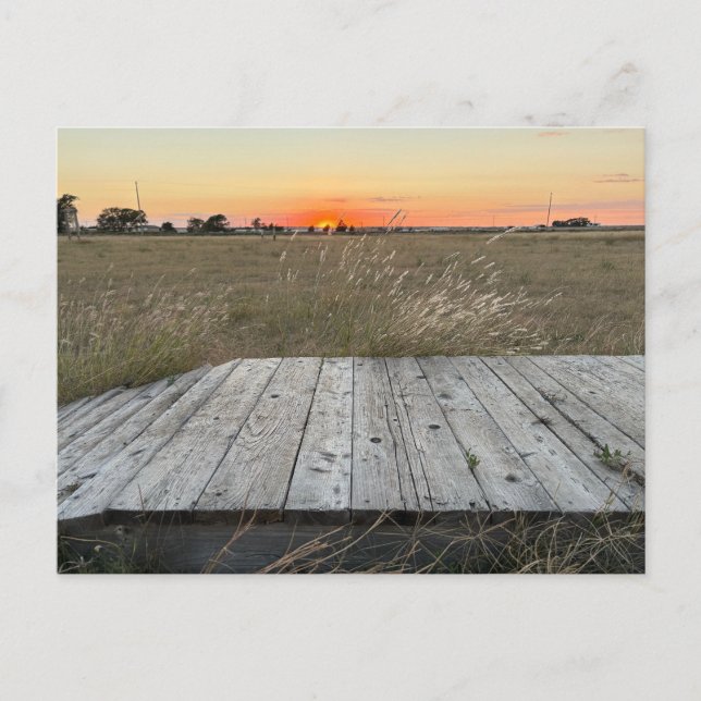 Sunset nära Amarillo Texas Vykort (Framsida)