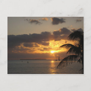 Sunset Nyckel Väster, Florida Vykort