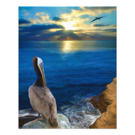 SUNSET ÖGA AV EN PELICAN FOTOTRYCK