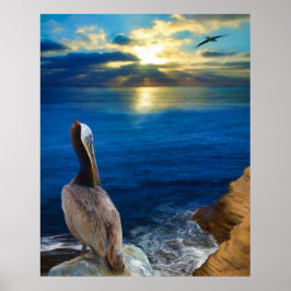 SUNSET ÖGA AV EN PELICAN POSTER