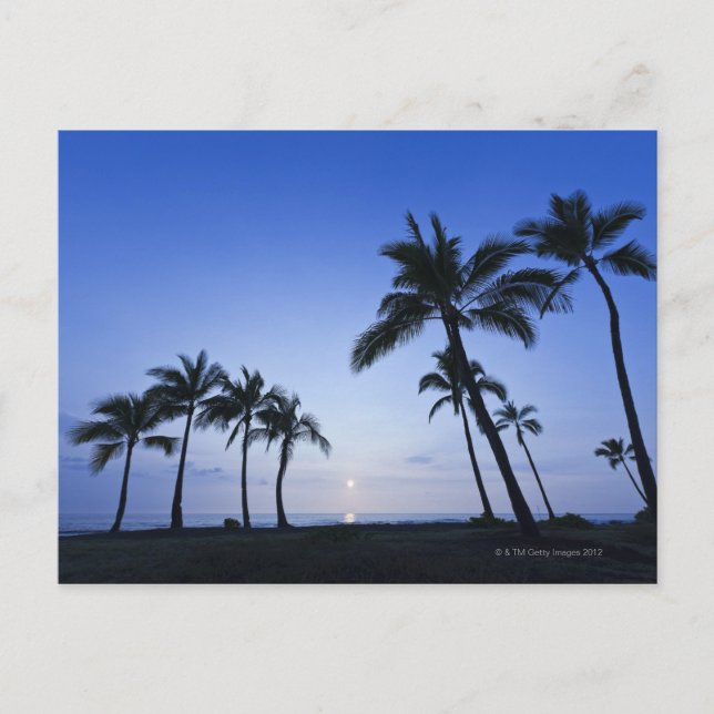 Sunset on Kahaluu Bay in Kona,Hawaii Vykort (Framsida)