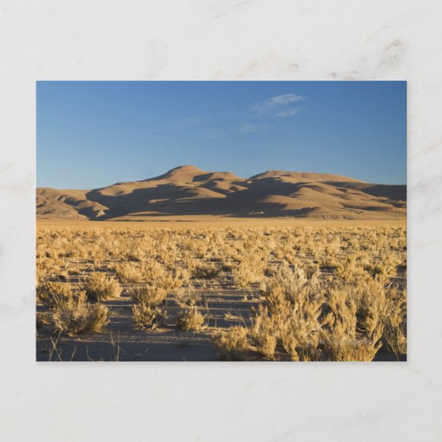 Sunset on the Altiplano of Argentina Vykort (Framsida)