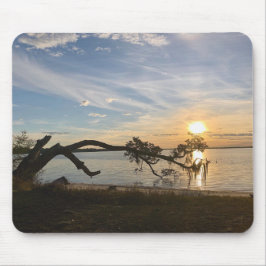 Sunset Over East Bay Musmatta