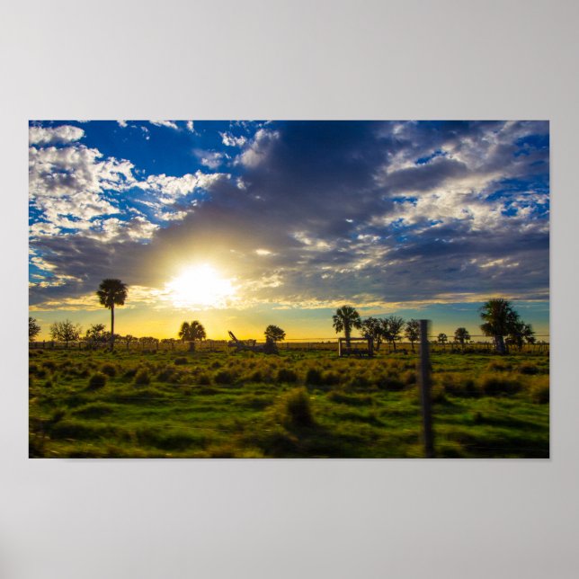 Sunset på en Florida Ranch Poster (Framsidan)