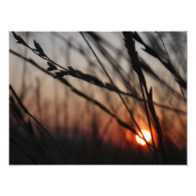 Sunset Photo Kodak Professionell Photo