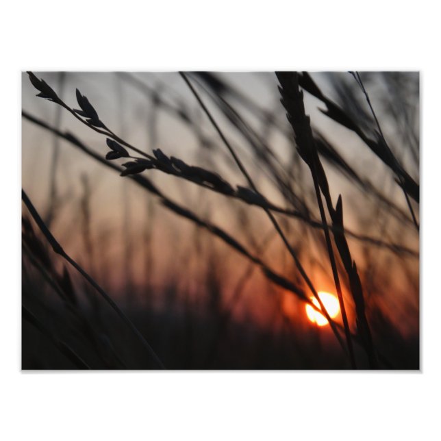 Sunset Photo Kodak Professionell Photo Fototryck (Framsidan)