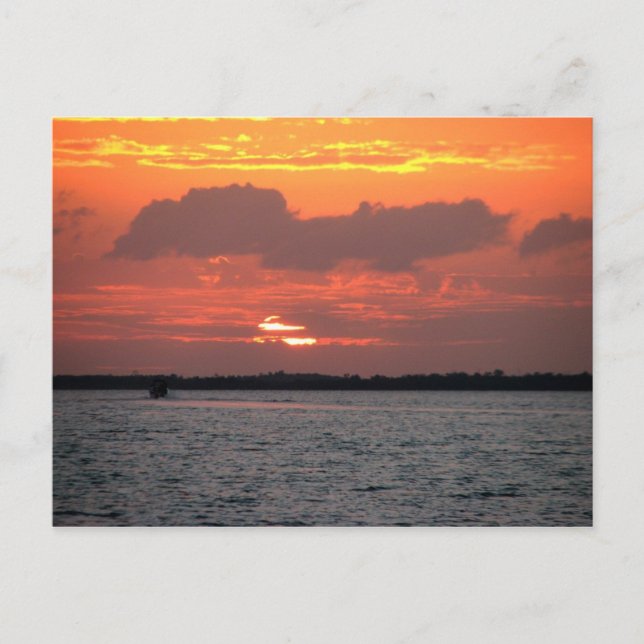 Sunset, Placencia, Belize Vykort (Framsida)