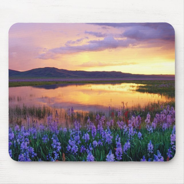 Sunset Prairie Scene Mouse Pad Musmatta (Framsidan)