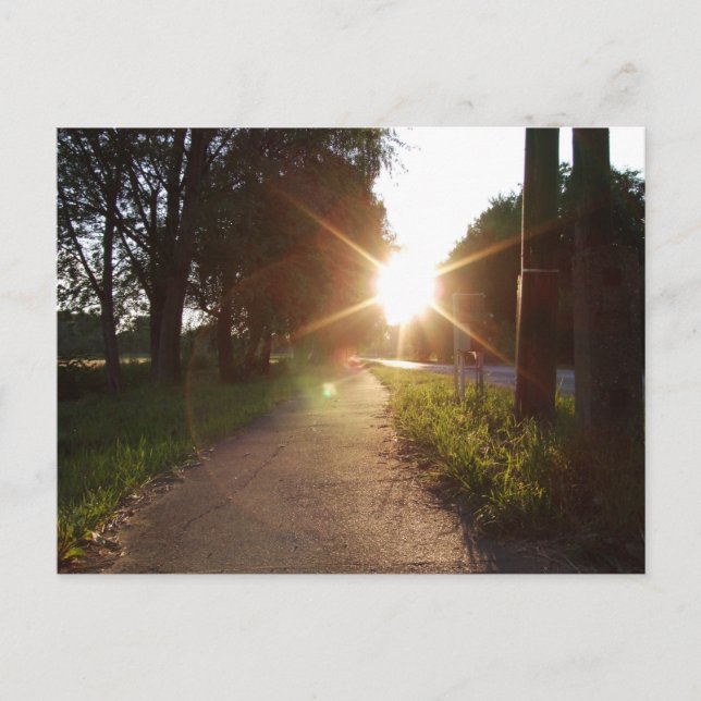 Sunset-promenad i Ungern Vykort (Framsida)