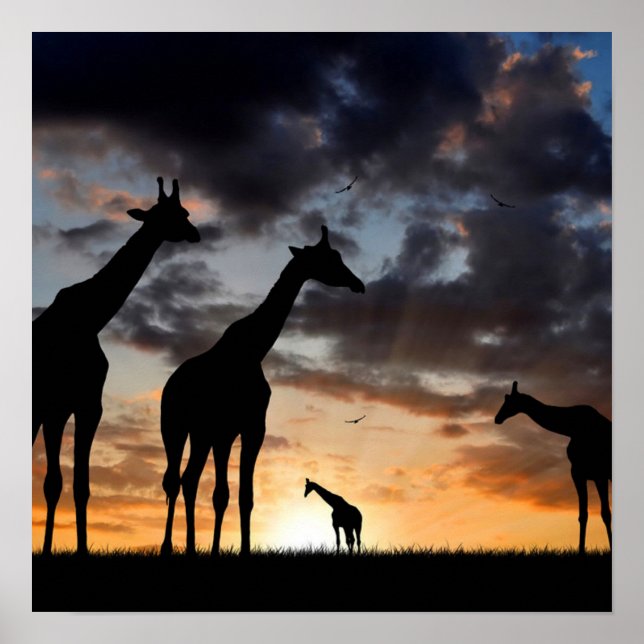 sunset safari vild animal giraffe silhouette poster (Framsidan)