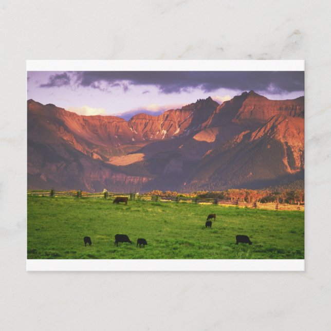 Sunset San Juan Mts CO Vykort (Framsida)