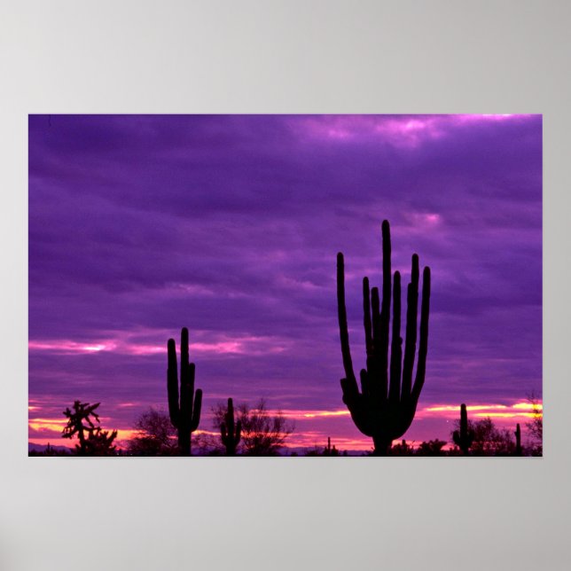 Sunset, Scottsdale, Arizona Poster (Framsidan)