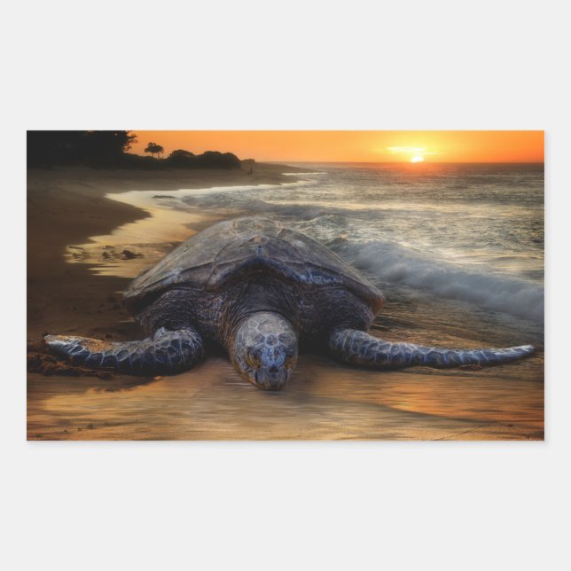 Sunset Sea Turtle Sticker Rektangulärt Klistermärke (Framsida)