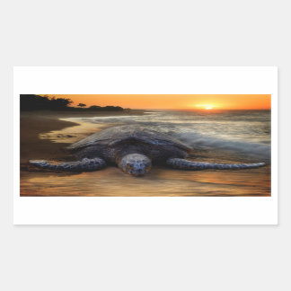 Sunset Sea Turtle Sticker Rektangulärt Klistermärke