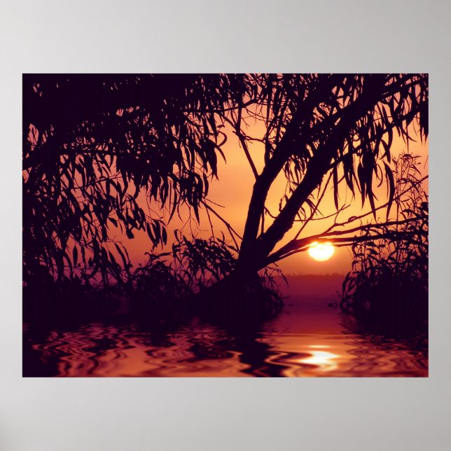 Sunset Silhouette Habitat Poster (Framsidan)