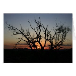 Sunset Silhouette Hälsningskort