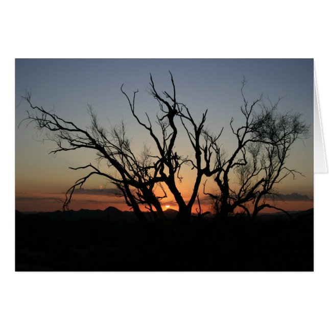 Sunset Silhouette Hälsningskort (Framsidan Horizontal)