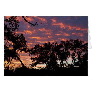 Sunset Silhouette OBS Kort