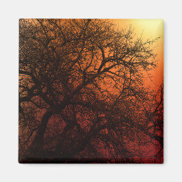 Sunset Silhouette Winter Träd Magnet