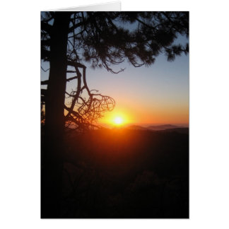 sunset silouettes 2 hälsningskort